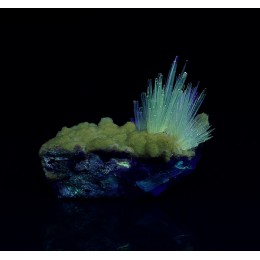 Aragonite (fluorescent) Eugui M05121